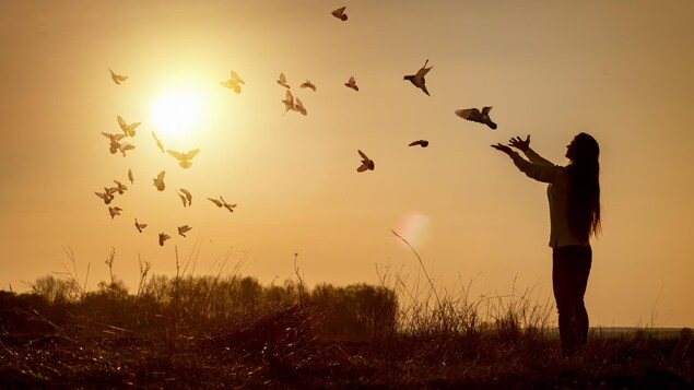 Une femme relâche un vol de colombes devant un coucher de soleil.