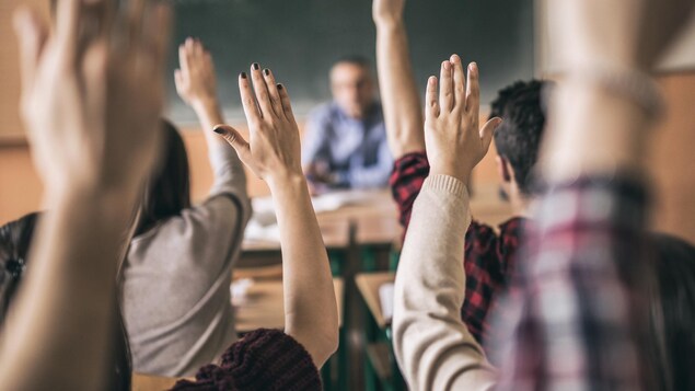 Des élèves photographiés de dos dans une classe lèvent la main.