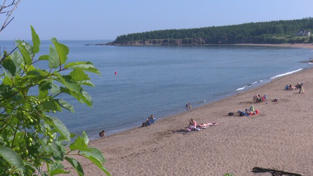 On voit des personnes assises sur une plage au loin. 