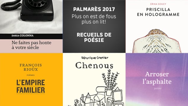 Quelques-uns des meilleurs recueils de poésie parus en 2017 selon l'équipe de <em>Plus on est de fous, plus on lit!</em>