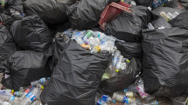 Beaucoup de sacs poubelles remplis de bouteilles en plastique dans une décharge. Les sacs débordent.