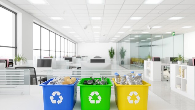 Des bacs de recyclage sont disposés sur une table dans un bureau.