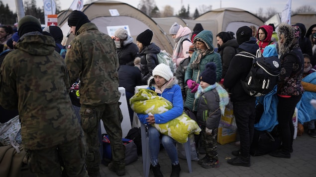 Le long chemin de l’accueil de réfugiés ukrainiens dans l’Est-du-Québec