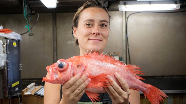 Sarah Brown-Vuillemin, doctorante en océanographie à l'ISMER, tenant un sébaste.