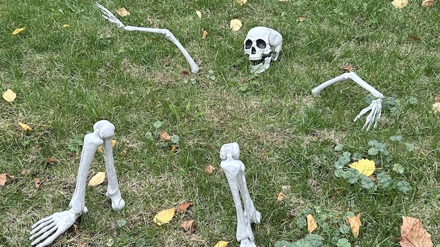 Un squelette d'halloween posé sur le sol. 