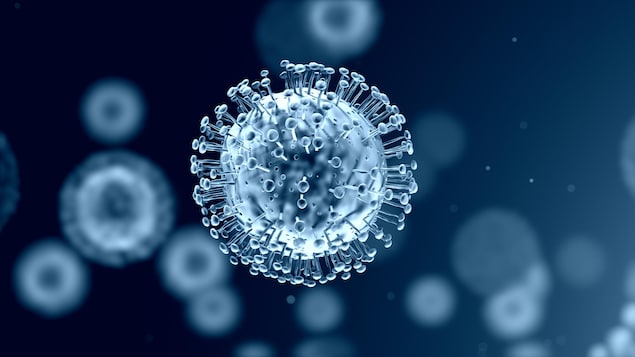 Image du variant Omicron du coronavirus qui cause la COVID-19.