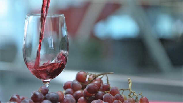 Du vin rouge versé dans un verre entouré de grappes de raisins rouges.