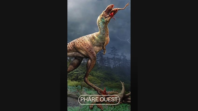 Un fossile de l’ancêtre du T-Rex trouvé à Tumbler Ridge