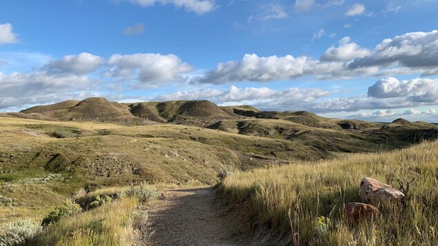 Paysage des prairies en septembre, à la fin de l'été, badlands à l'horizon sous un ciel bleu avec nuages.