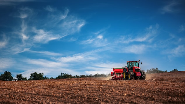 Un tracteur circule dans un champ.