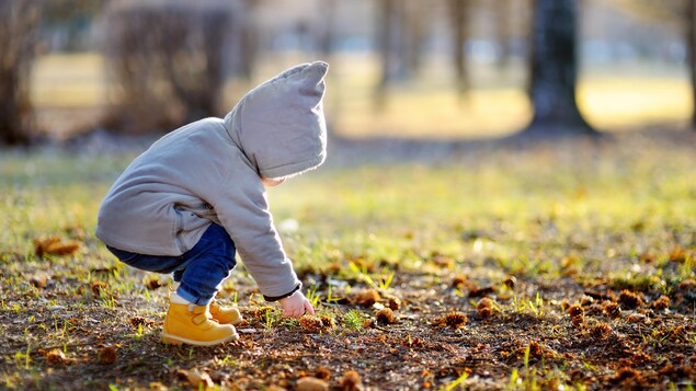 Un bambin est accroupi dans un terrain vert.
