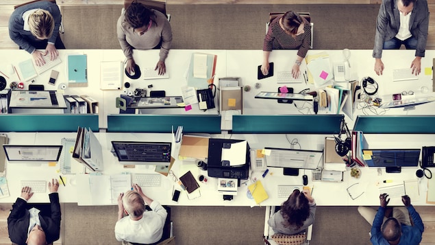 Une équipe de huit employés au travail