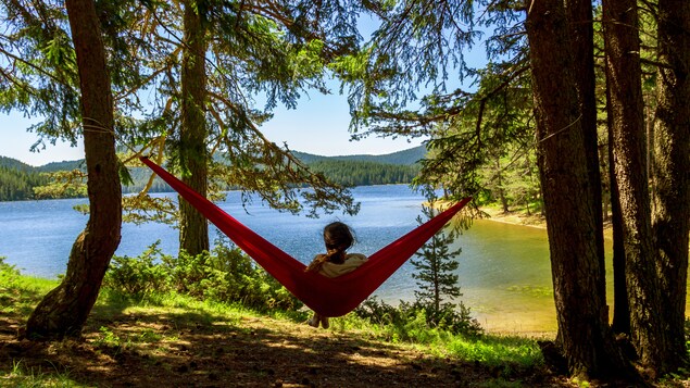 Une jeune femme observe la nature assise dans un hamac.