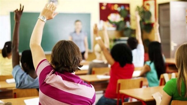 Des élèves sont assis en classe et lèvent le bras pour prendre la parole. Ils sont de dos.