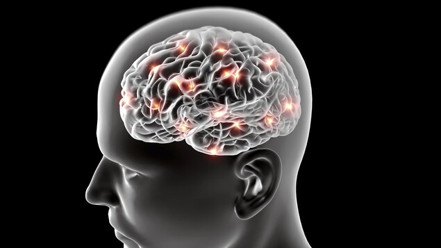 Illustration du cerveau d'un homme.