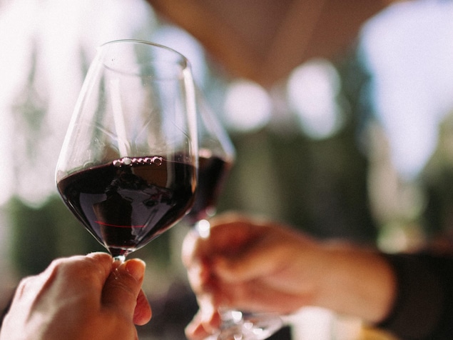 Une personne tient une coupe de vin rouge.