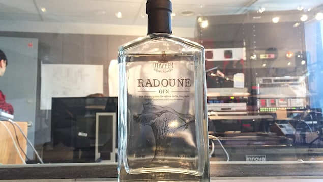 Une bouteille de Gin de marque Radoune