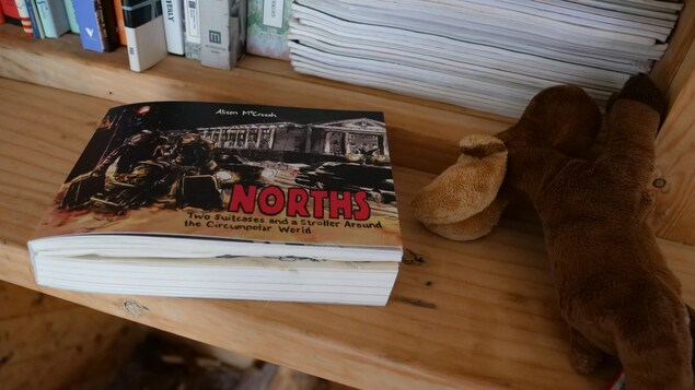 Jaquette de livre illustré sur une étagère de bibliothèque, avec un ourson représentant un orignal déposé à côté.