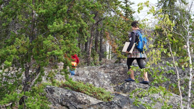 Alison McCreesh se balade dans la forêt avec son fils.