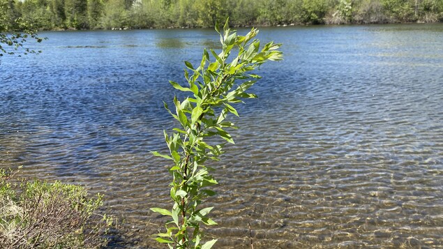 Bandes riveraines : la Patrouille bleue de retour à Sherbrooke 