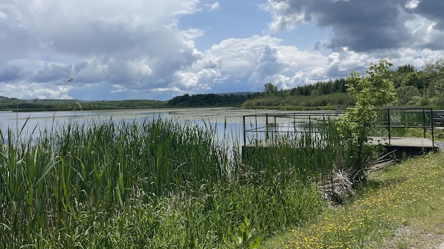 Danville se lance dans un Bioblitz pour protéger sa biodiversité