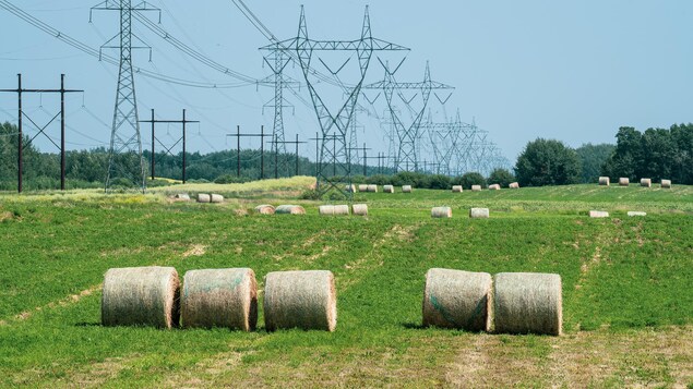 Les fermiers cherchent l’équilibre entre la pluie et le soleil