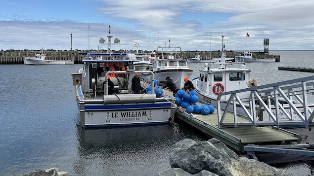 Des pêcheurs qui apportent des bouées bleues sur un bateau.