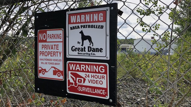Une affiche indique "Warning, area patrolled by great dane security Co, avec une photo d'un Danois. 