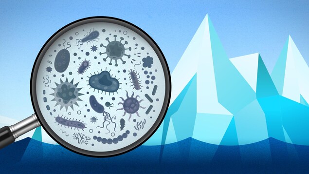 Illustration d'une loupe pointée vers des glaciers. Des virus et des bactéries sont vus à travers la loupe.