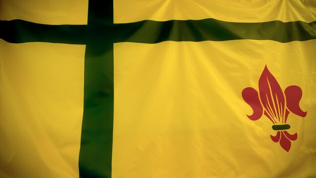 Le drapeau fransaskois est de couleur jaune avec une croix verte dans le haut du coin gauche et une fleur de lys rouge dans le bas du coin droit.