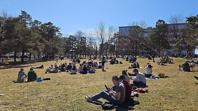 Des gens assis par terre dans le parc.