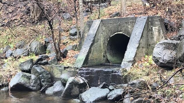 Le réseau d'égout pluvial se déverse directement dans la rivière Saint-Charles. Le réseau d'égout pluvial se déverse directement dans la rivière Saint-Charles.