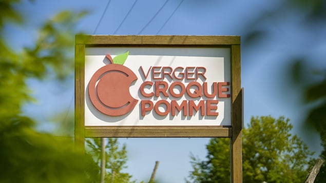 Une affiche en bois inscrit «Verger Croque Pomme