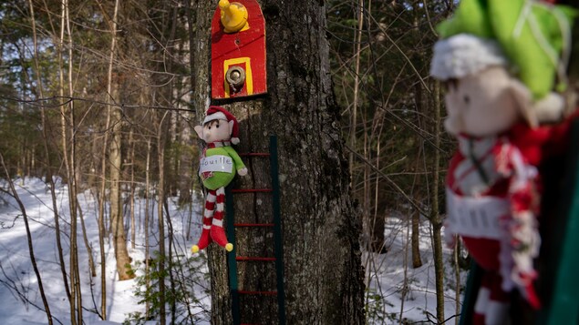 Des lutins de Noël accrochés à des arbres dans une forêt.