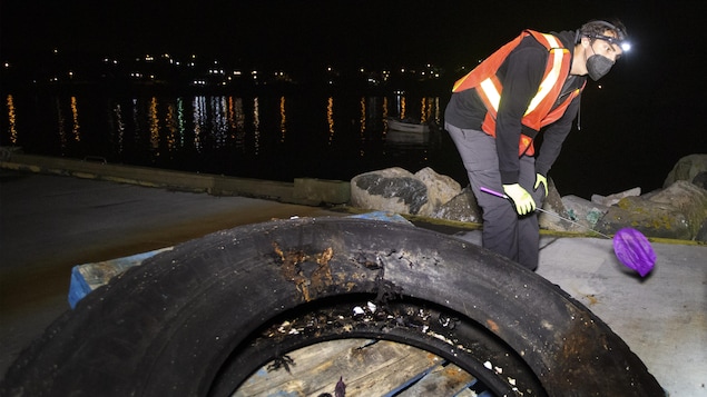 Steve Duffy observe l'environnement autour de lui entouré d'un vieux pneu.