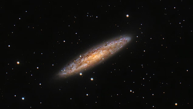 La galaxie du Sculpteur.