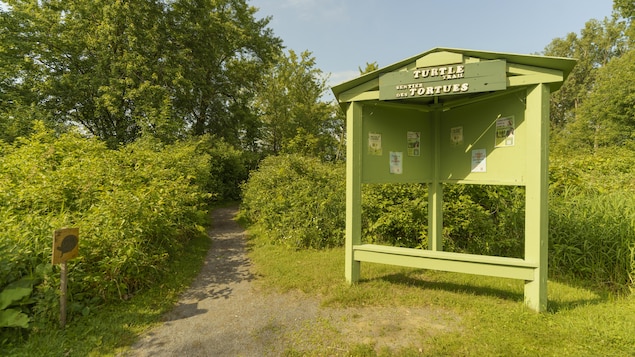 Un grand panneau d'affichage sur le bord d'un sentier qui mène à une forêt.