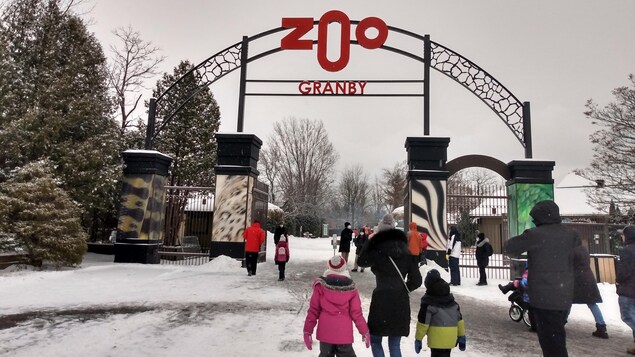 Des étudiants en tourisme font équipe avec les biologistes du Zoo de Granby