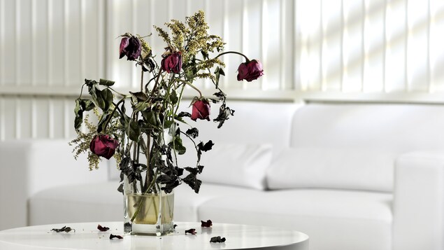 Un bouquet de fleurs séchées dans un vase sur une table.