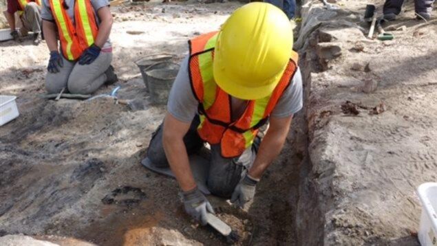 Des fouilles archéologiques se déroulaient en 2016