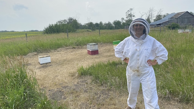 Une première rencontre avec les abeilles