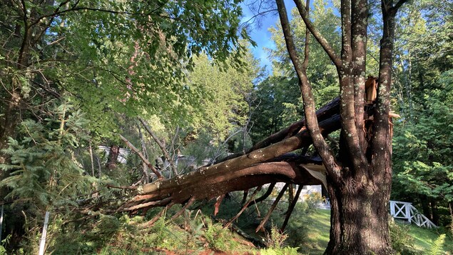 Des secteurs de Hatley durement touchés par des conditions météo violentes