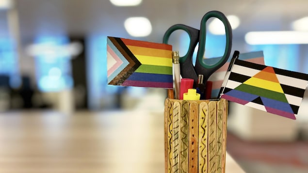 Pot de crayons et ciseaux déposés sur une table. On voit des drapeaux inclusifs, trans et allié(e)s miniatures dans le pot de crayons.
