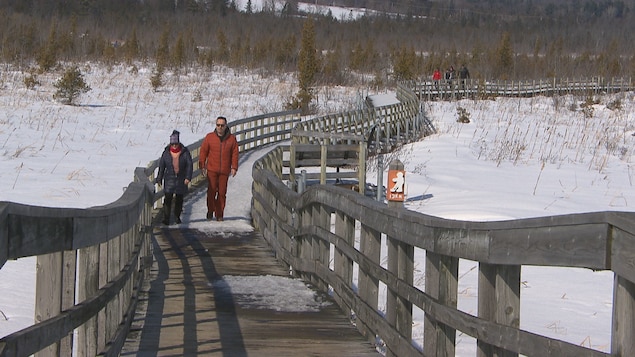 Des gens marchent sur une passerelle extérieure en bois, à Magog. Il fait soleil.