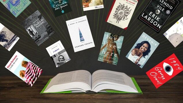 Montage photo de plusieurs couvertures de livre incluant : Michel Rabagliati, Victor Hugo, Antoine De Saint-Exupery, George Orwell, Aldous Huxley, Nicolas Bouvier, Erik Larson, Boris Vian, Réjean Ducharme, Jane Austin, Marguerite Duras, Amanda Jetté Knox, Connor Franta et Michelle Obama.