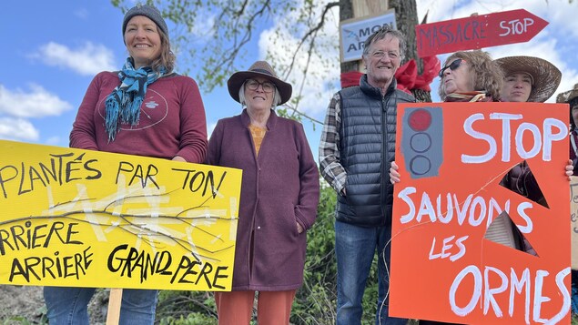 Des gens, pancartes en main, manifestent devant d'immenses arbres. 