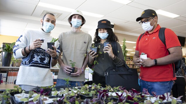 La MRC de La Matanie se mobilise pour l’agriculture urbaine