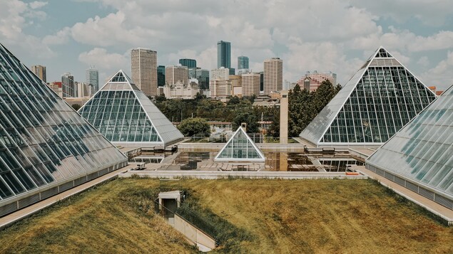 Les pyramides de verre du jardin botanique avec en toile de fond le centre ville d'Edmonton par une journée partiellement ennuagée de juin. Photo prise le 16 juin 2022.