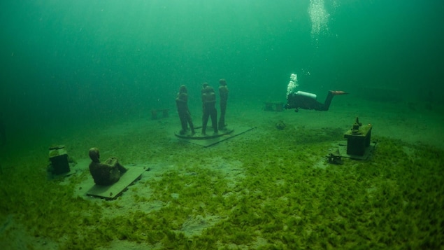 Un des meilleurs sites de plongée au monde se cache dans les eaux de Brockville