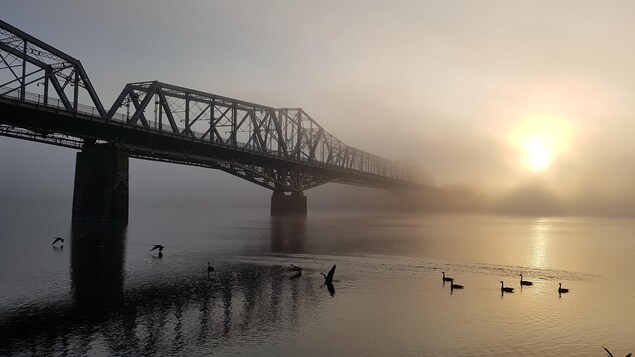Le pont Alexandra entre Gatineau et Ottawa un matin de brouillard.